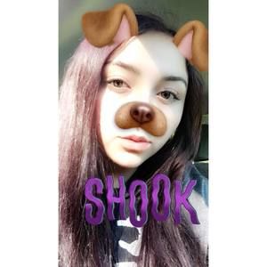 Meet your Posher, Sam